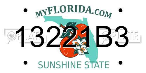 13221B3 Florida License Plate