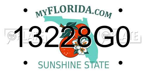 13228G0 Florida License Plate