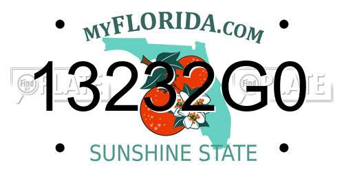 13232G0 Florida License Plate