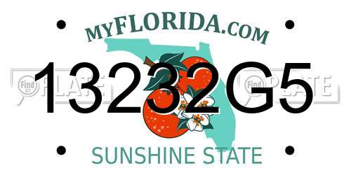 13232G5 Florida License Plate