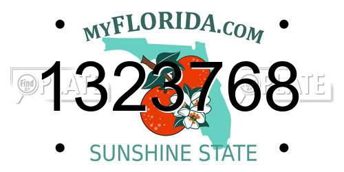 1323768 Florida License Plate