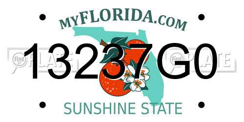 13237G0 Florida License Plate