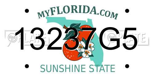 13237G5 Florida License Plate