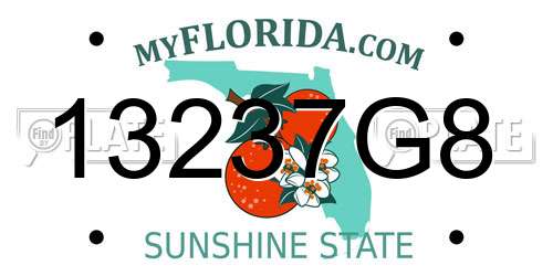 13237G8 Florida License Plate