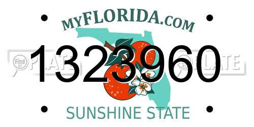 1323960 Florida License Plate