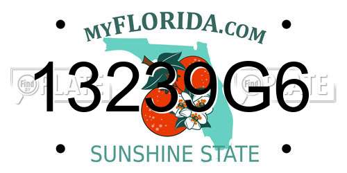 13239G6 Florida License Plate