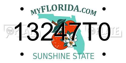13247T0 Florida License Plate