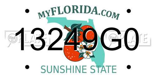 13249G0 Florida License Plate