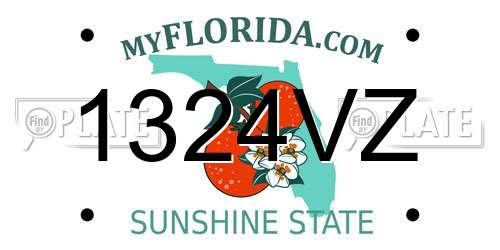 1324VZ Florida License Plate