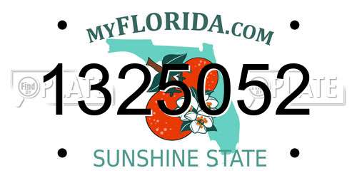 1325052 Florida License Plate