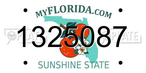 1325087 Florida License Plate