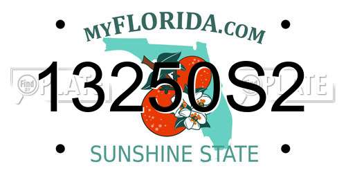 13250S2 Florida License Plate