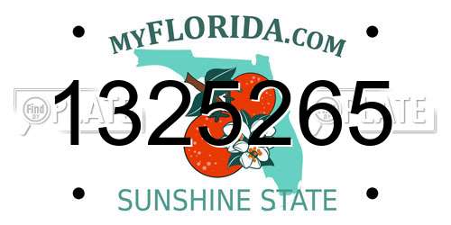 1325265 Florida License Plate