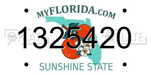 1325420 Florida License Plate