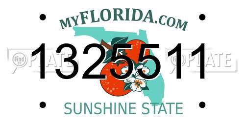 1325511 Florida License Plate
