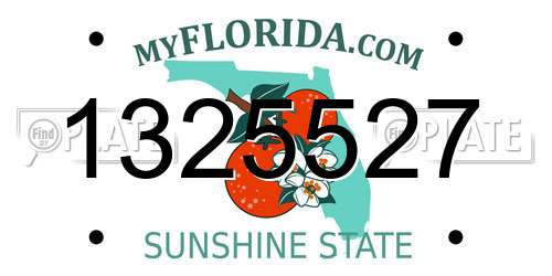 1325527 Florida License Plate