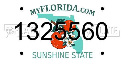 1325560 Florida License Plate