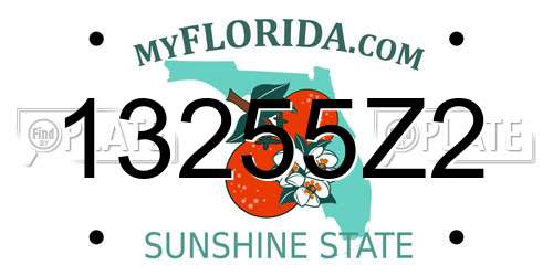13255Z2 Florida License Plate