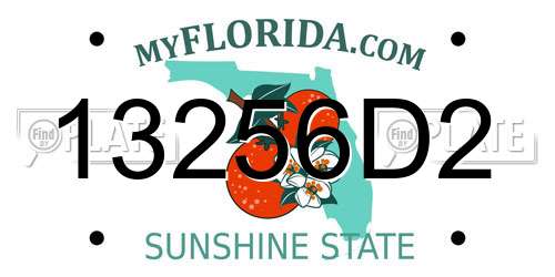 13256D2 Florida License Plate