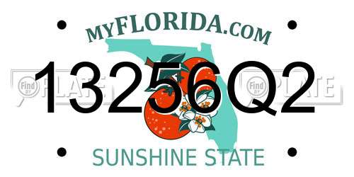 13256Q2 Florida License Plate