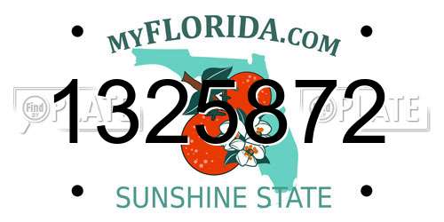 1325872 Florida License Plate