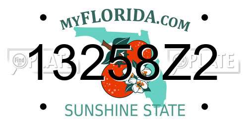 13258Z2 Florida License Plate