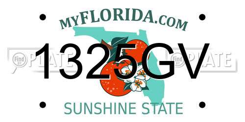 1325GV Florida License Plate