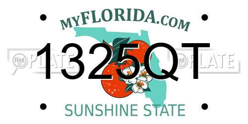1325QT Florida License Plate