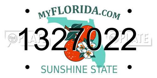 1327022 Florida License Plate