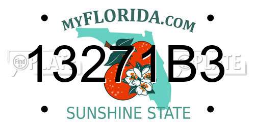 13271B3 Florida License Plate