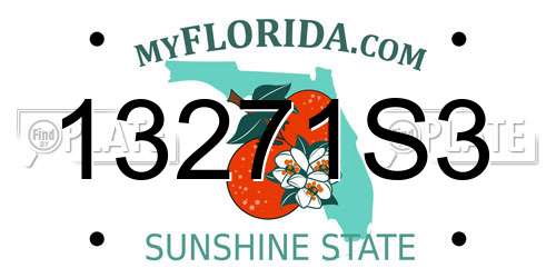 13271S3 Florida License Plate