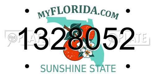 1328052 Florida License Plate