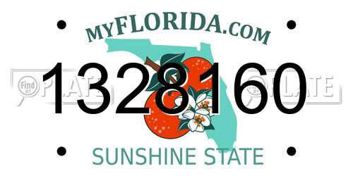 1328160 Florida License Plate
