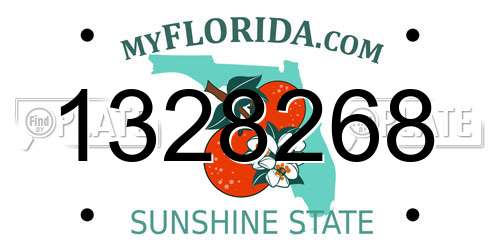 1328268 Florida License Plate