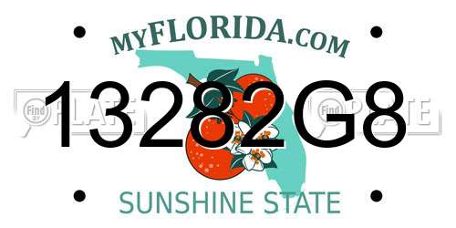 13282G8 Florida License Plate