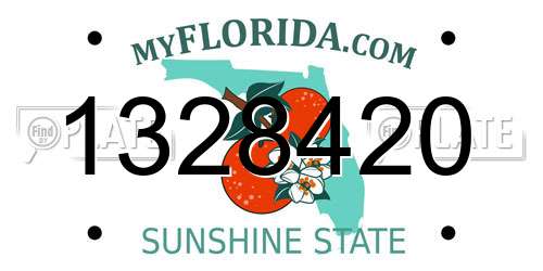 1328420 Florida License Plate