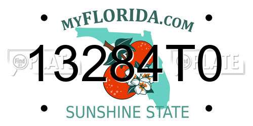 13284T0 Florida License Plate