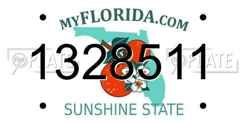 1328511 Florida License Plate