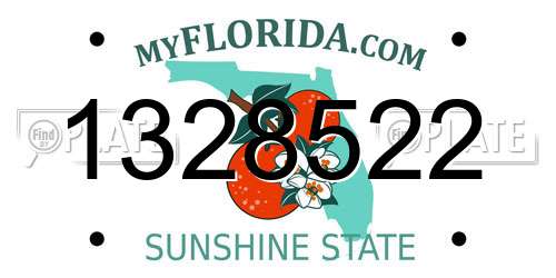 1328522 Florida License Plate
