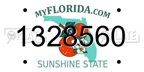 1328560 Florida License Plate