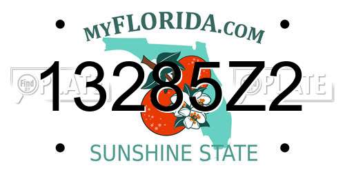 13285Z2 Florida License Plate