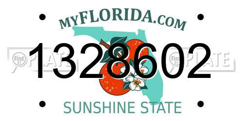 1328602 Florida License Plate
