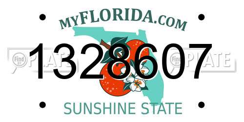 1328607 Florida License Plate