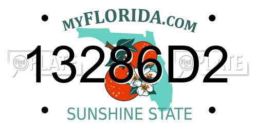 13286D2 Florida License Plate