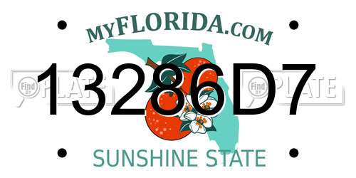 13286D7 Florida License Plate