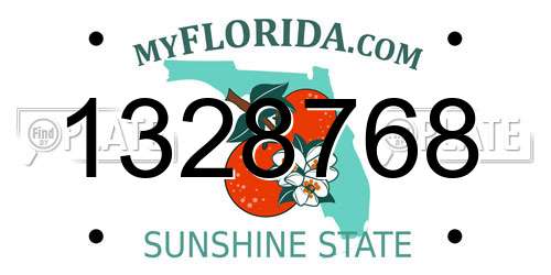 1328768 Florida License Plate