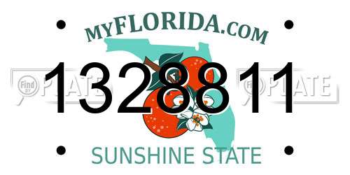 1328811 Florida License Plate