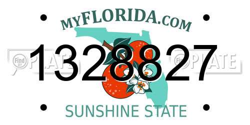 1328827 Florida License Plate