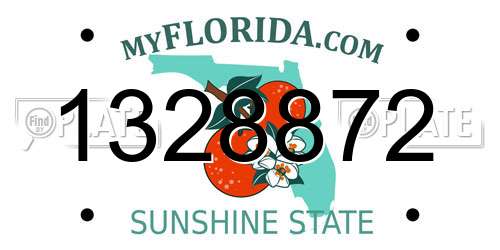 1328872 Florida License Plate