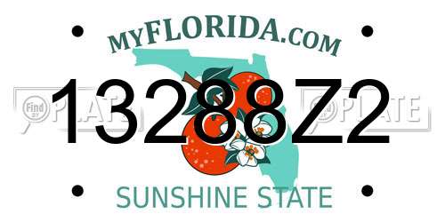 13288Z2 Florida License Plate